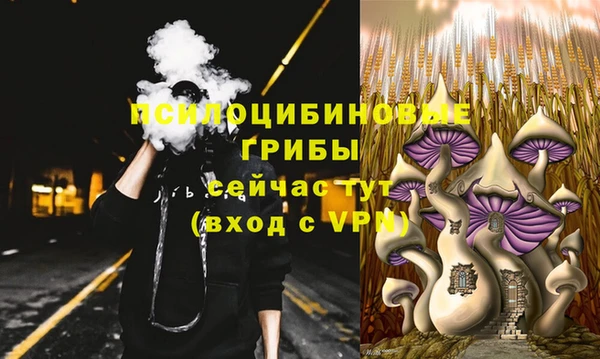 a pvp Верея