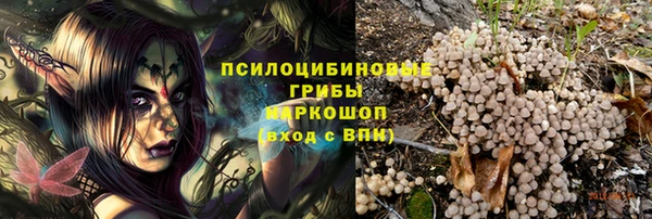 a pvp Верея
